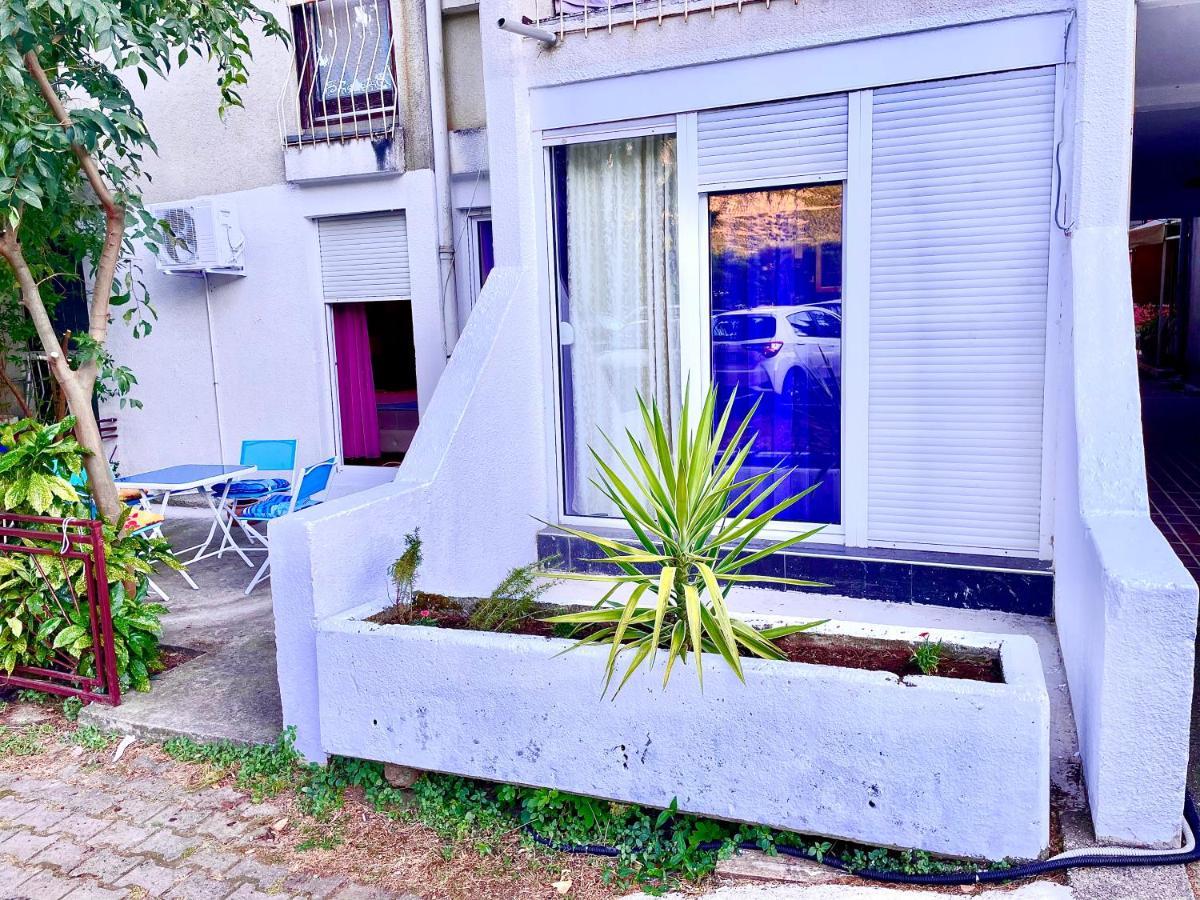 Dora Butterfly -for Max 5 People Apartment