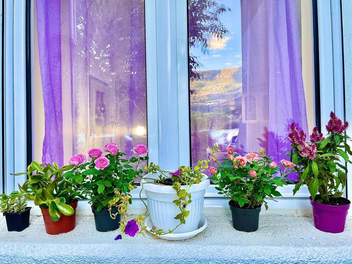 Dora Butterfly -for Max 5 People Apartment *